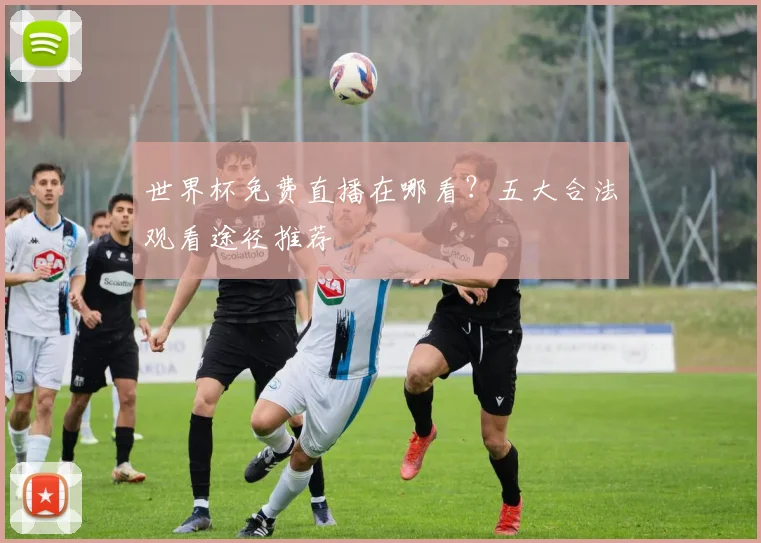 世界杯免费直播在哪看？五大合法观看途径推荐