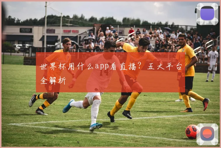 世界杯用什么app看直播？五大平台全解析