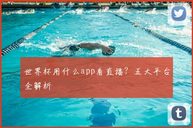 世界杯用什么app看直播？五大平台全解析