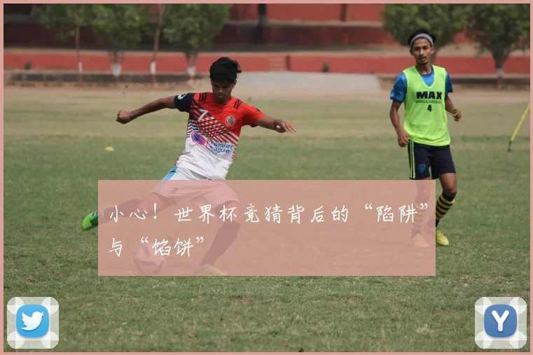 小心！世界杯竞猜背后的“陷阱”与“馅饼”