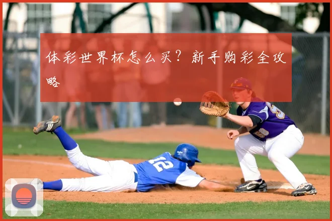 体彩世界杯怎么买？新手购彩全攻略