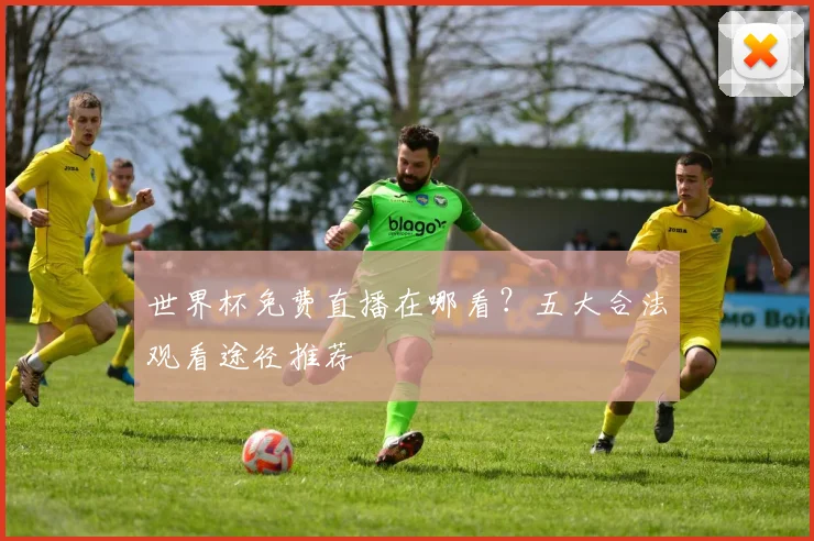 世界杯免费直播在哪看？五大合法观看途径推荐