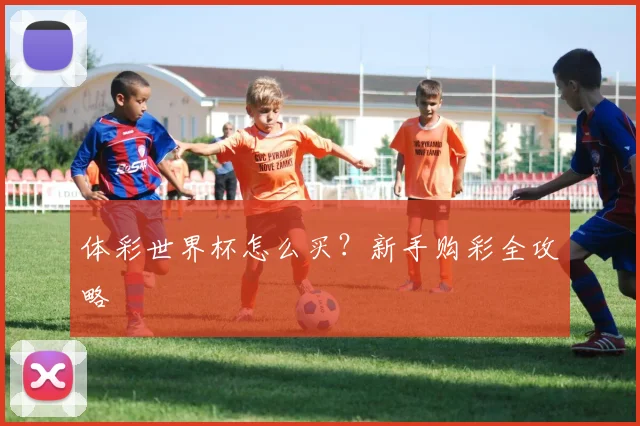 体彩世界杯怎么买？新手购彩全攻略