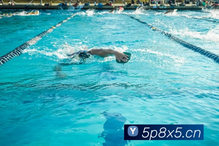 乐鱼体育登录网页入口平台生态图