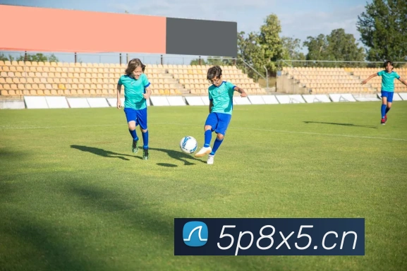 乐鱼体育登录网页入口APP 封面图